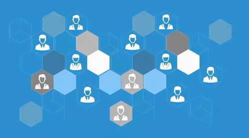 網絡營銷與專業網絡推廣 互聯網銷售的增效之道